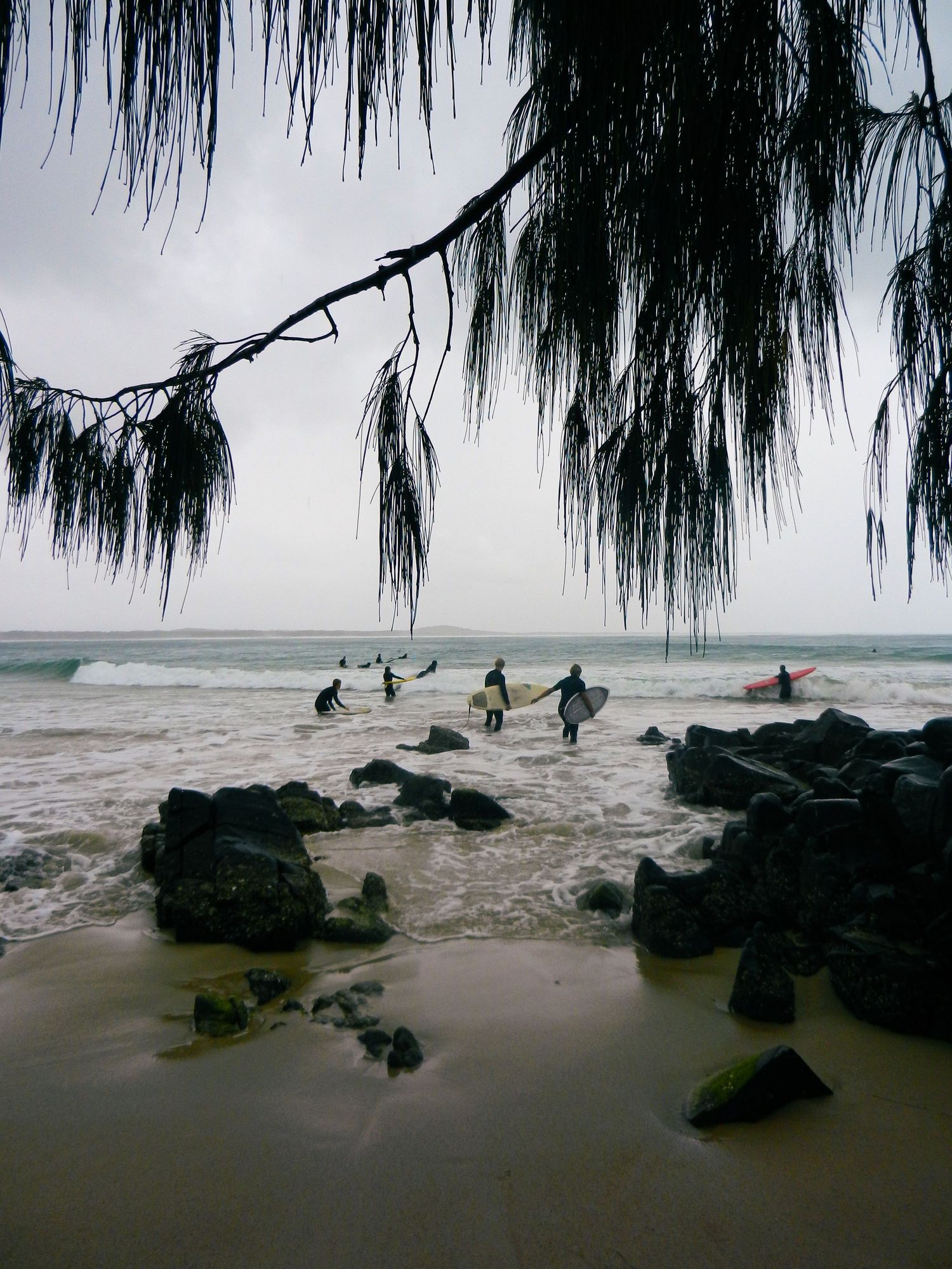 Coastal scene with surfers and beachgoers silhouetted against dramatic ocean waves under hanging branches at sunset.