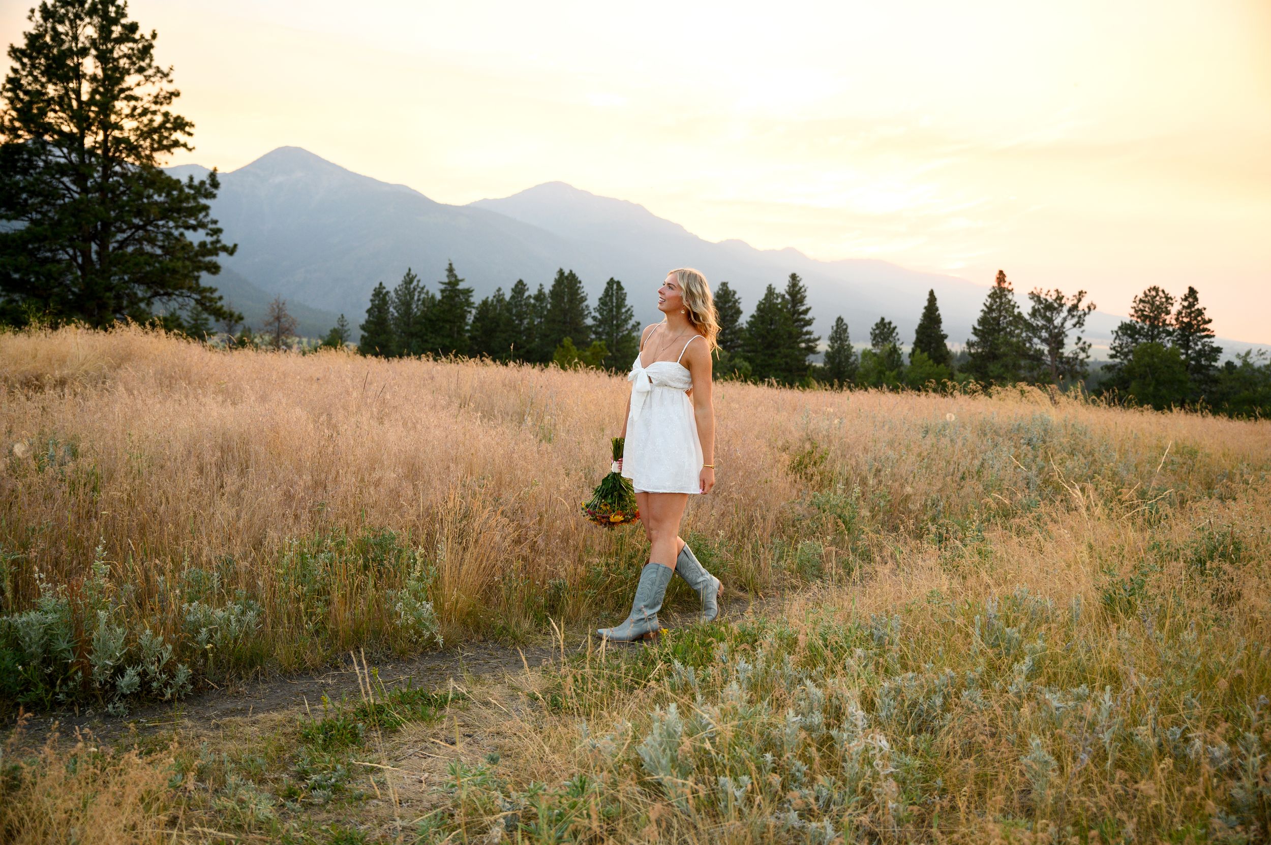 A golden sunset over a mountain meadow with tall grass and evergreen trees lining the horizon.