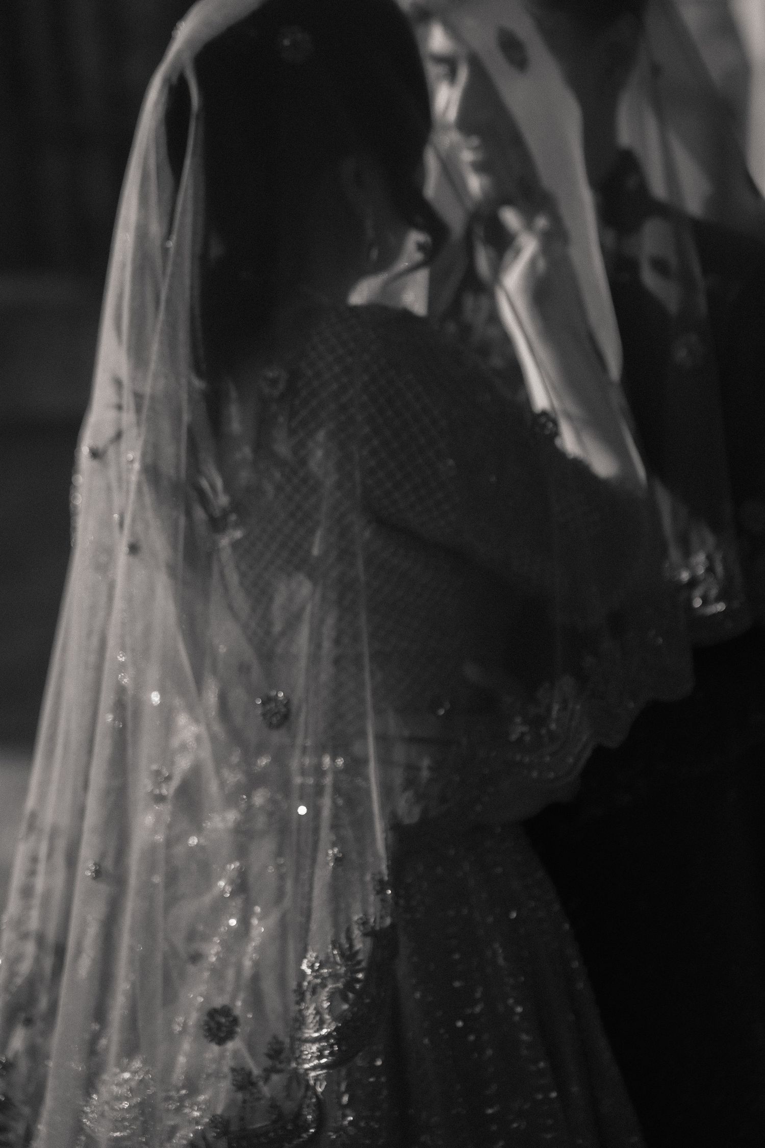Artistic black and white photo of embellished wedding veil with sparkle details.