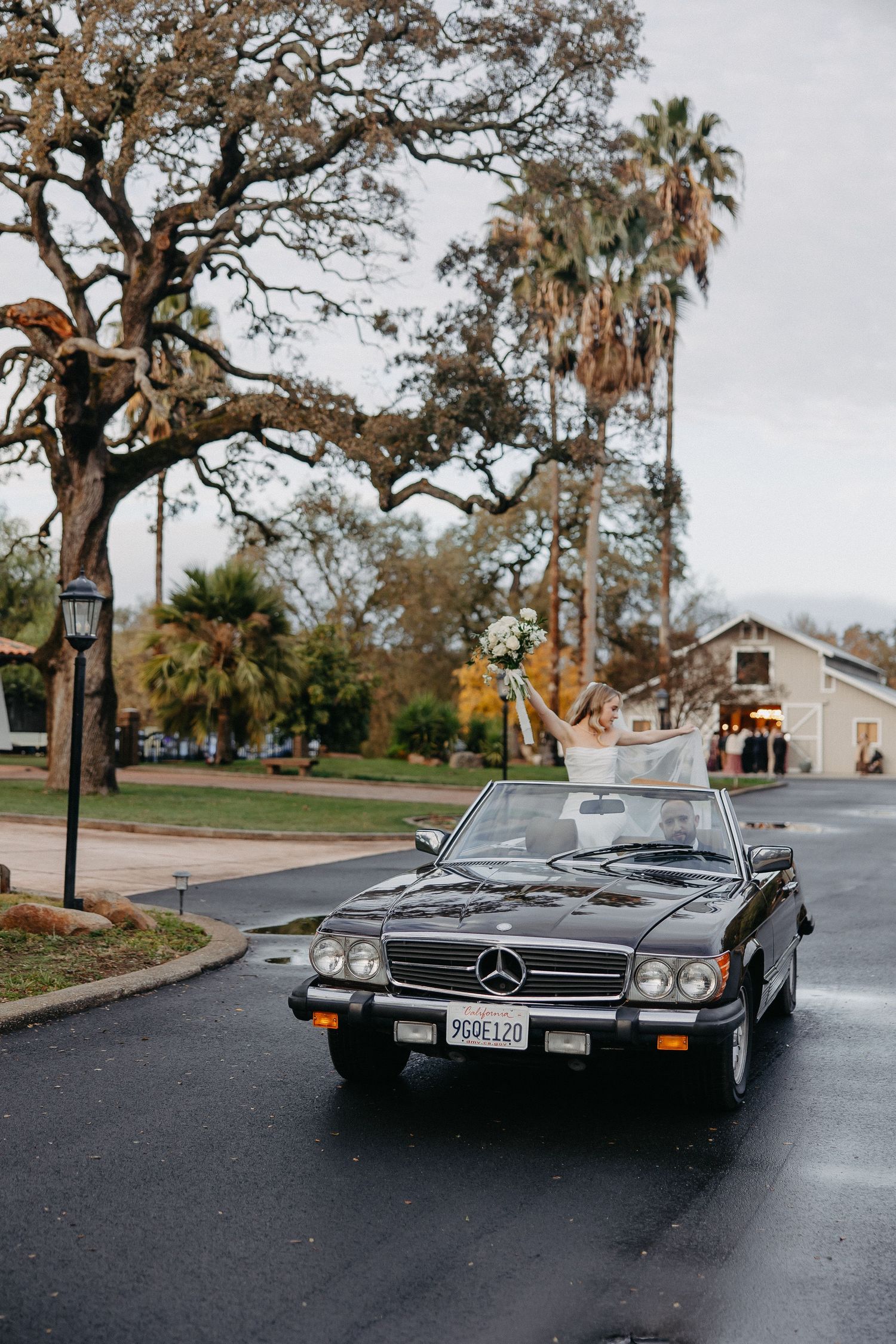 A classic black Mercedes-Benz convertible parked on a wet street with palm trees and Spanish moss in the background.