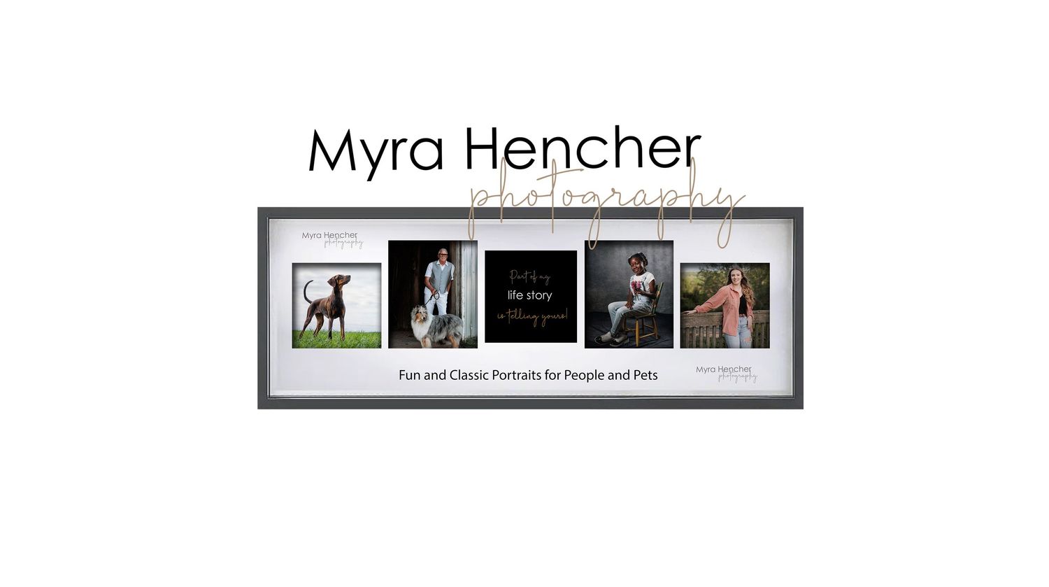 Collection of four professional pet portraits featuring dogs and cats in studio settings.
