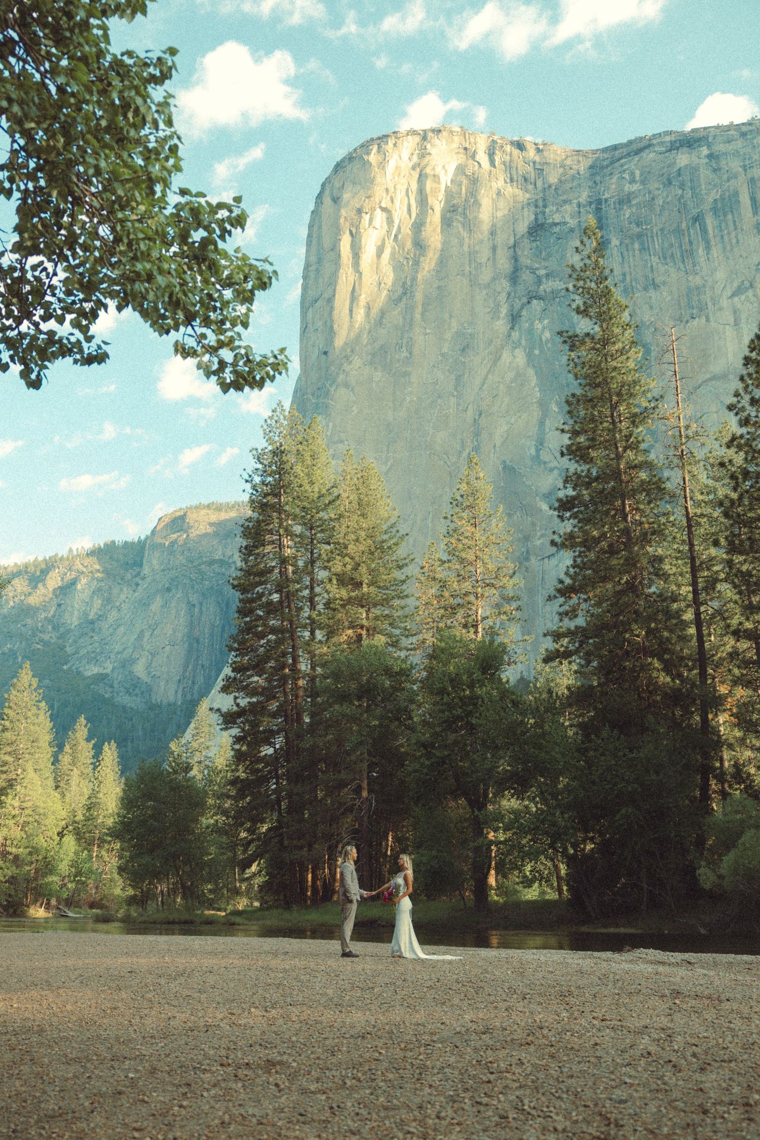 A majestic view of El Capitan at Yosemite Valley with snow dusted evergreen trees in the foreground on a clear sunny day.