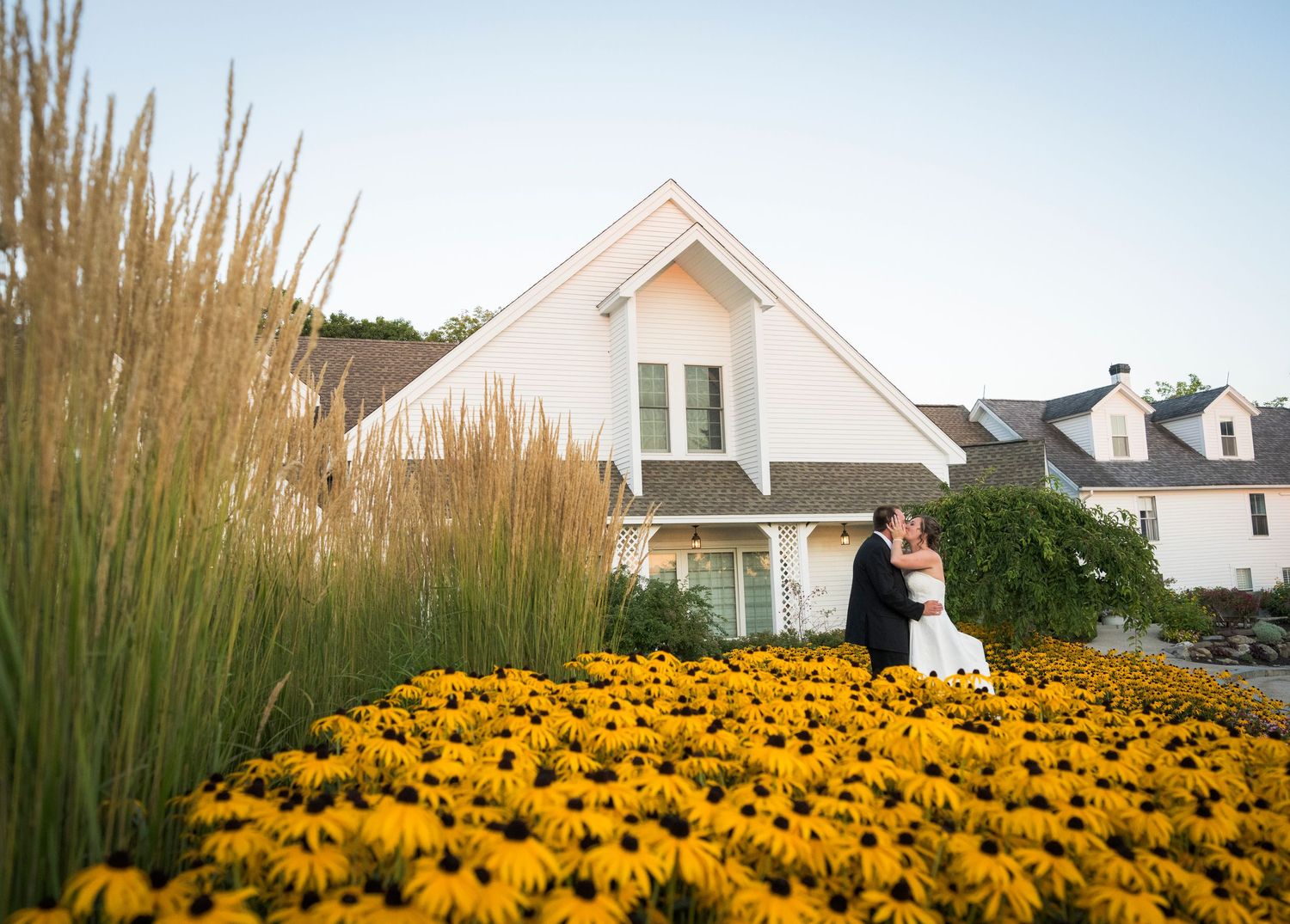 Couple kissing behind vibrant yellow black-eyed Susan flowers with a white house backdrop at a summer wedding.