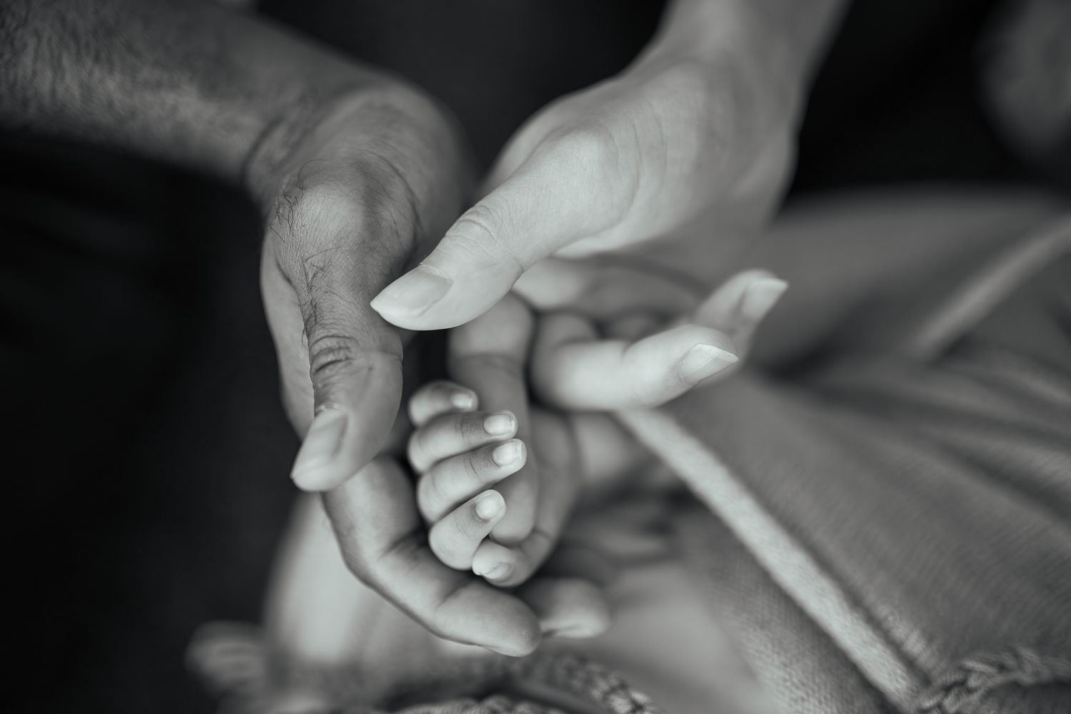 Monochrome photo of adult hands gently cradling a newborn baby's tiny hand taken by a Melbourne in-home Newborn photographer.
