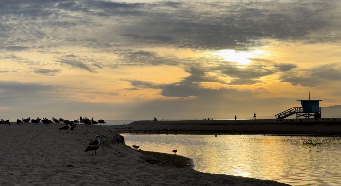 Stunning beach sunset with silhouetted birds, calm water reflections, dramatic clouds, and a lifeguard tower on sandy shore.
