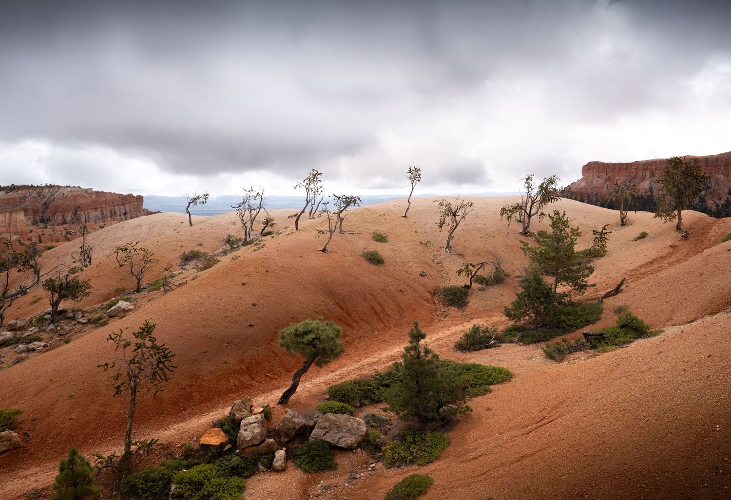 A dramatic sky hovers over a wooded hillside in Bryce Canyon National Park, Utah.