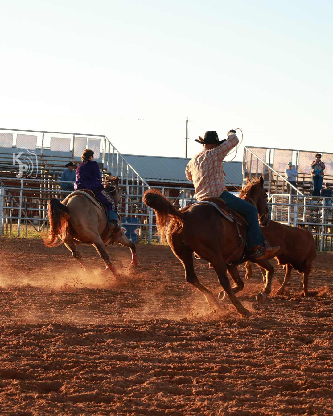A sequence of rodeo action shots showing cowboys riding bucking horses in a dusty arena during a competition.