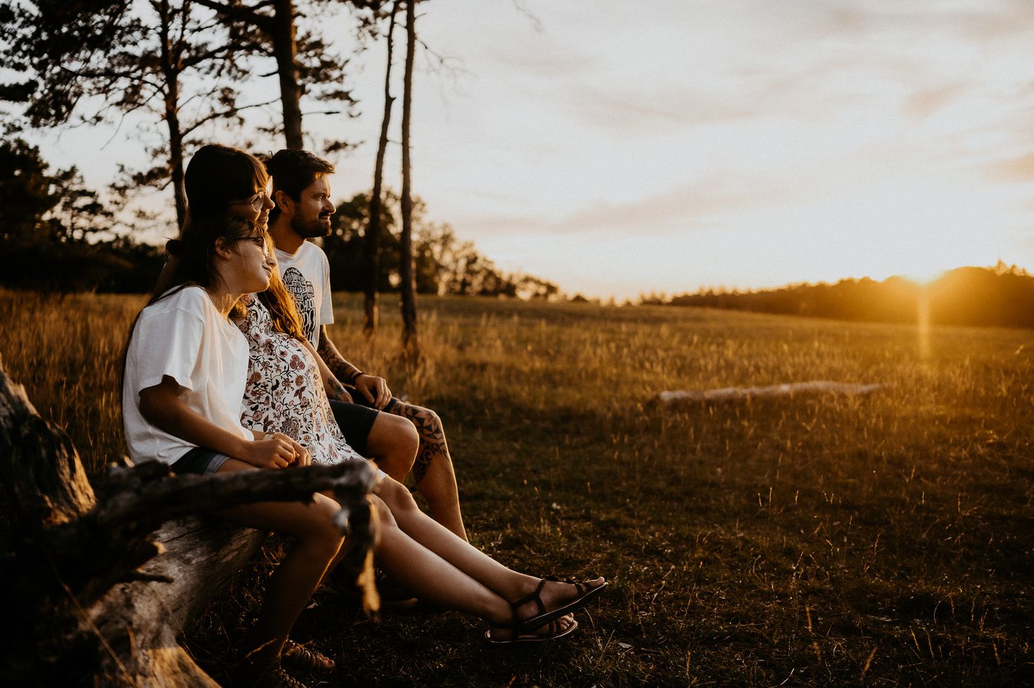 Romantic sunset portrait of couple sitting on log in golden field.