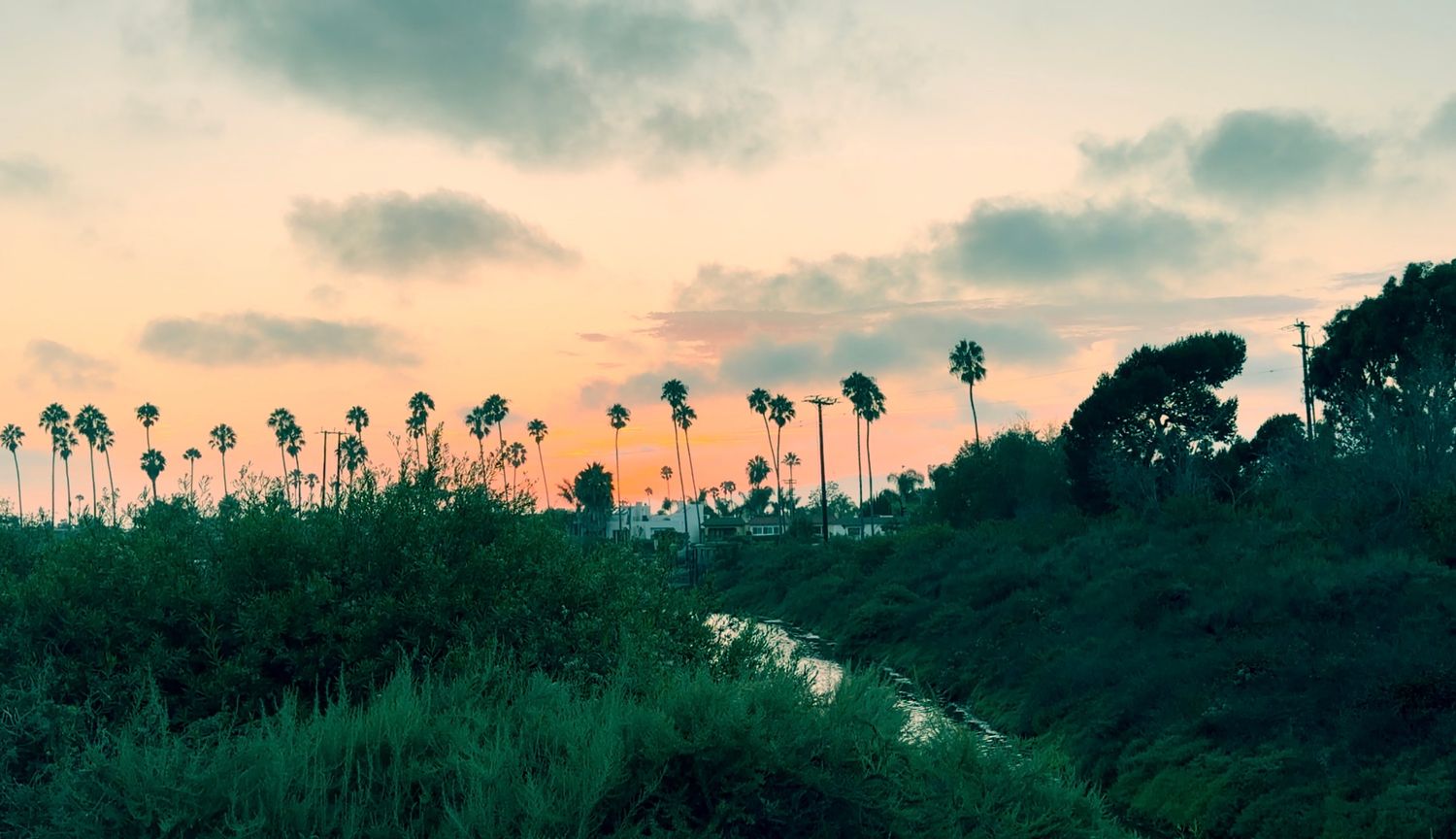 Silhouetted palm trees against a vibrant pink and orange sunset sky over lush green tropical vegetation.