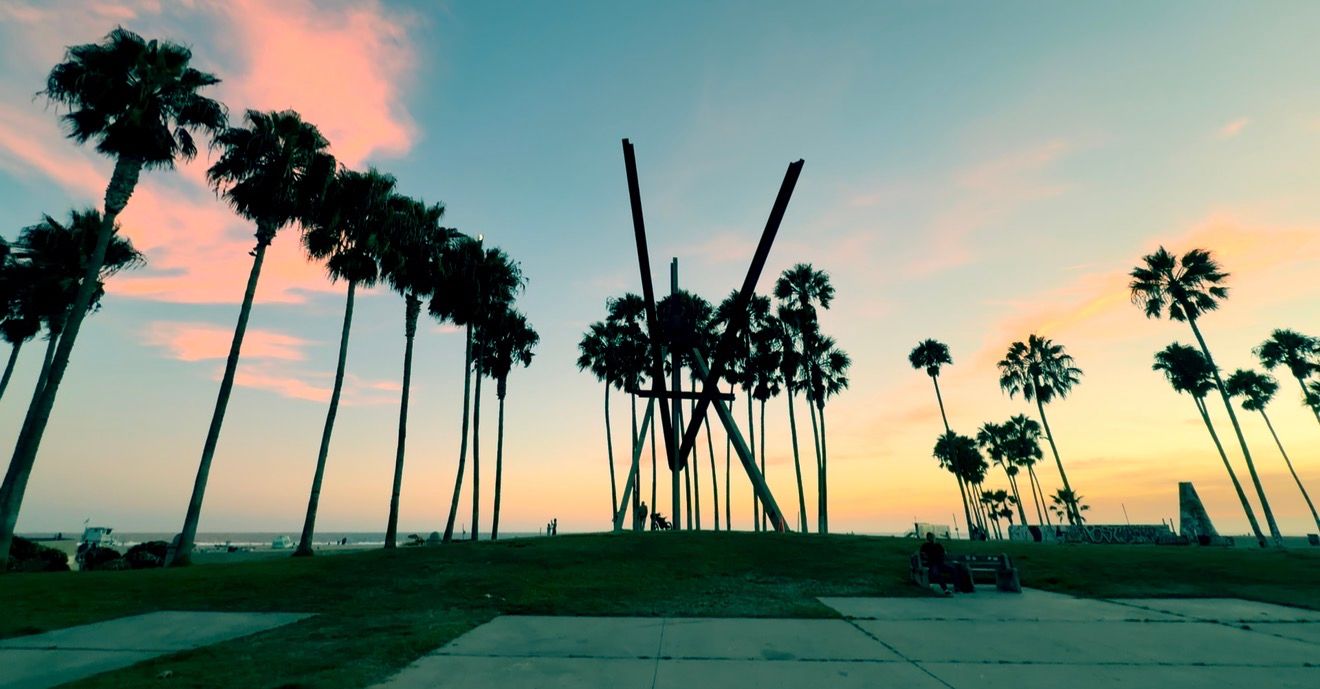 Stunning sunset over Venice Beach with tall palm trees silhouetted against a colorful pink and blue sky in Los Angeles.
