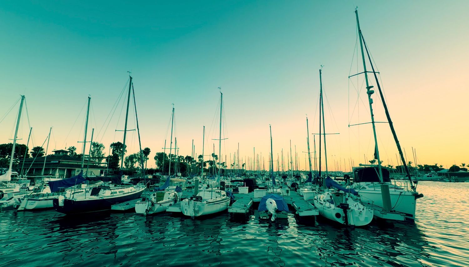 Sailboats docked at a marina during a golden sunset with calm water reflections and palm trees in the background.