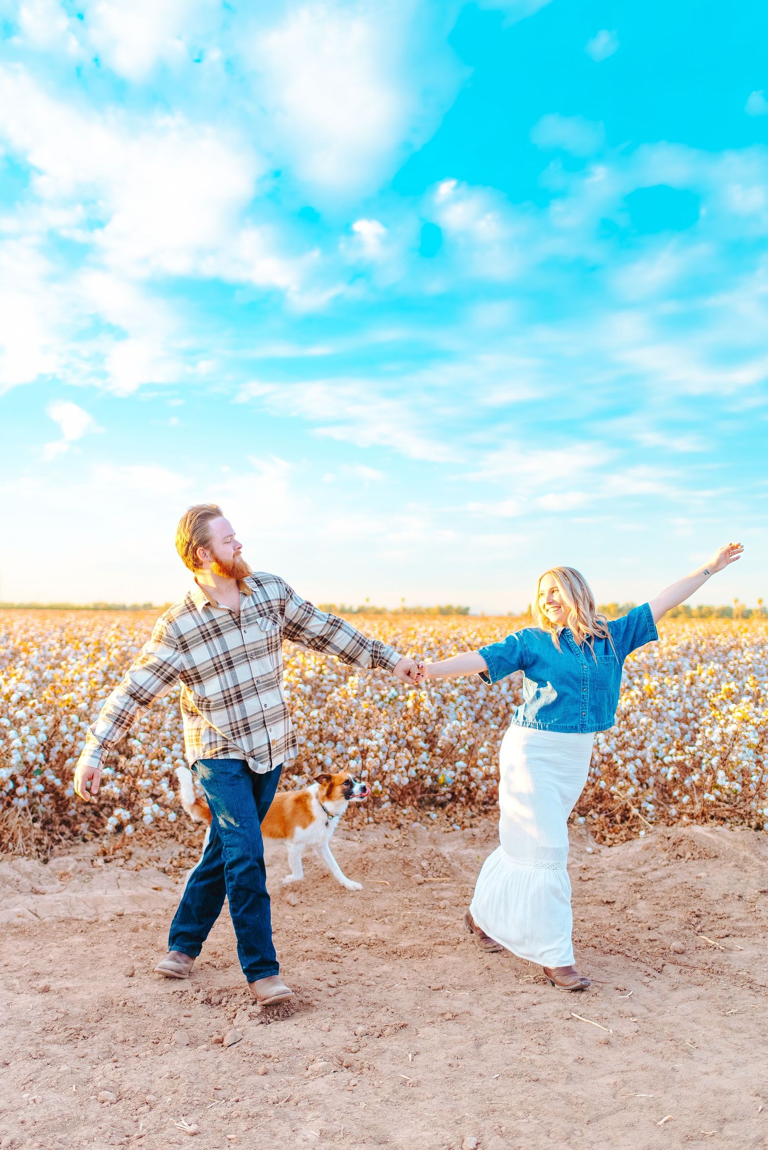 A couple dances joyfully on a dirt path alongside a cotton field with their dog under a bright blue sky in Queen Creek, Arizona.