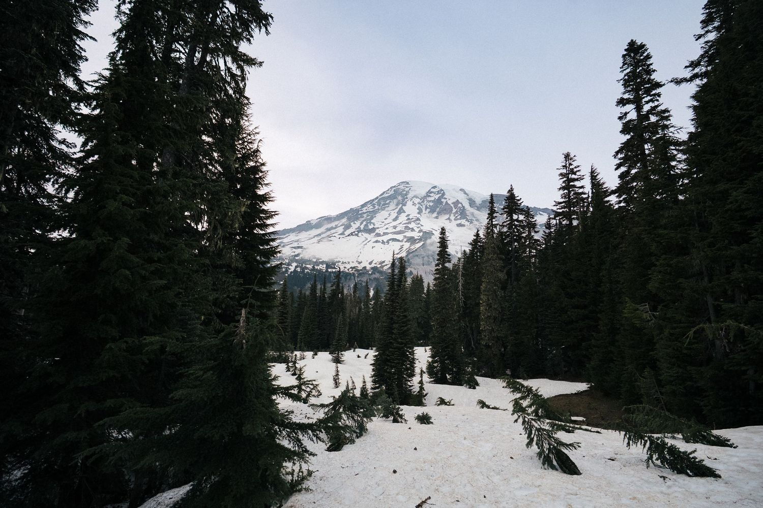 Snow covered mountain peaks rise above dense evergreen forest beneath a moody winter sky.