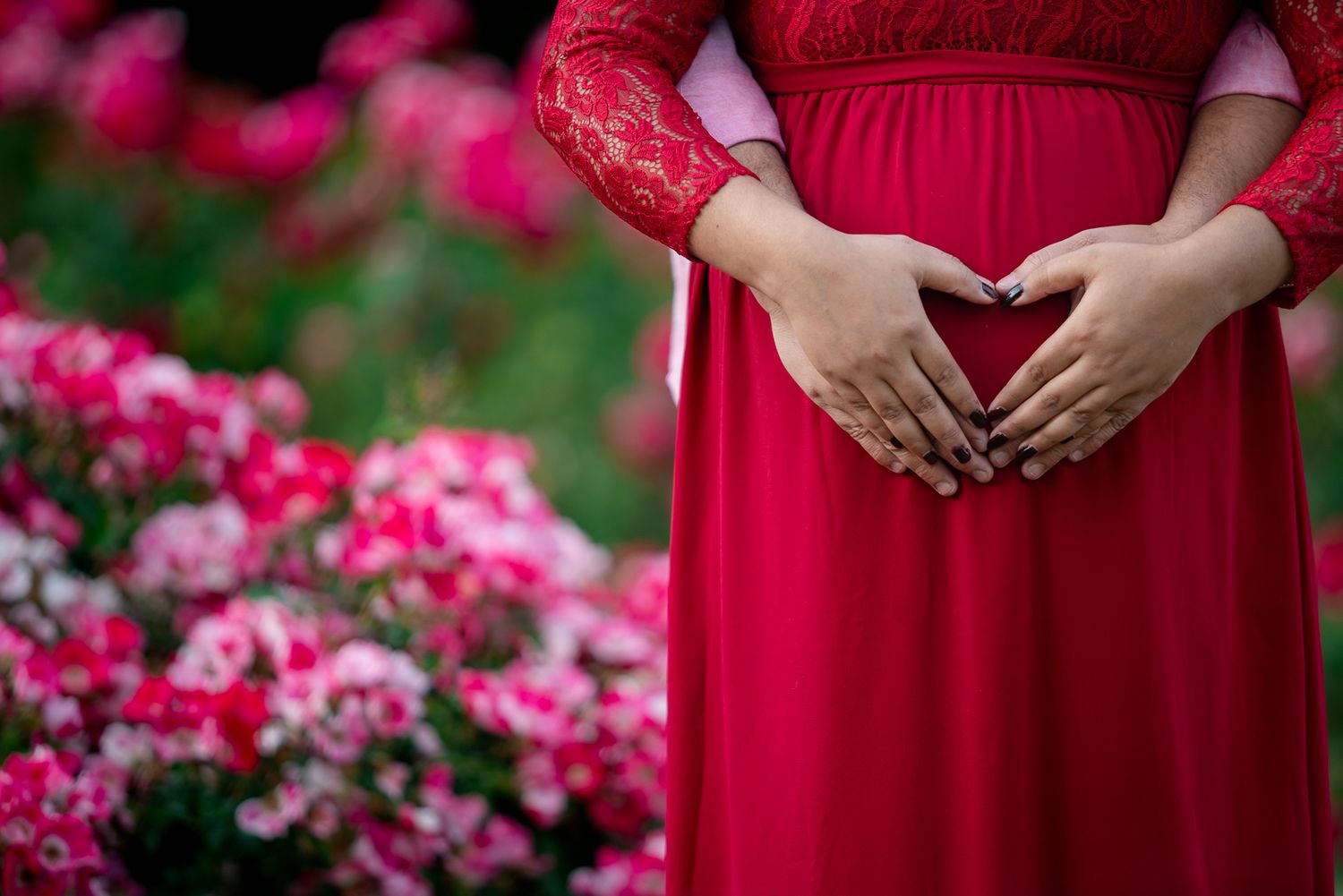 Expecting mother in red dress by rose bushes in San Jose Municipal Rose Garden maternity pose idea with hands