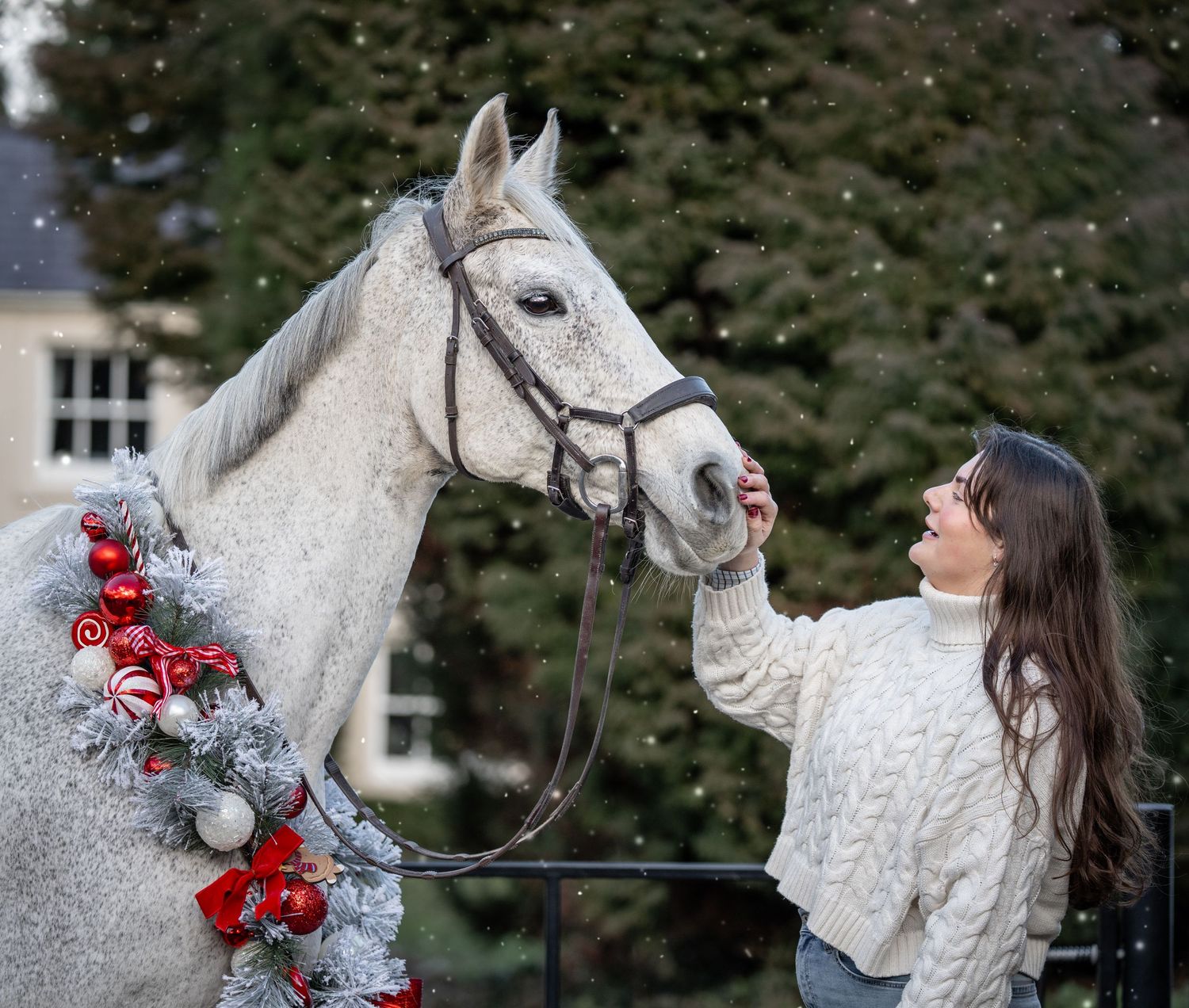 White horse wearing a festive winter floral crown with red roses and silver accents in an outdoor setting.