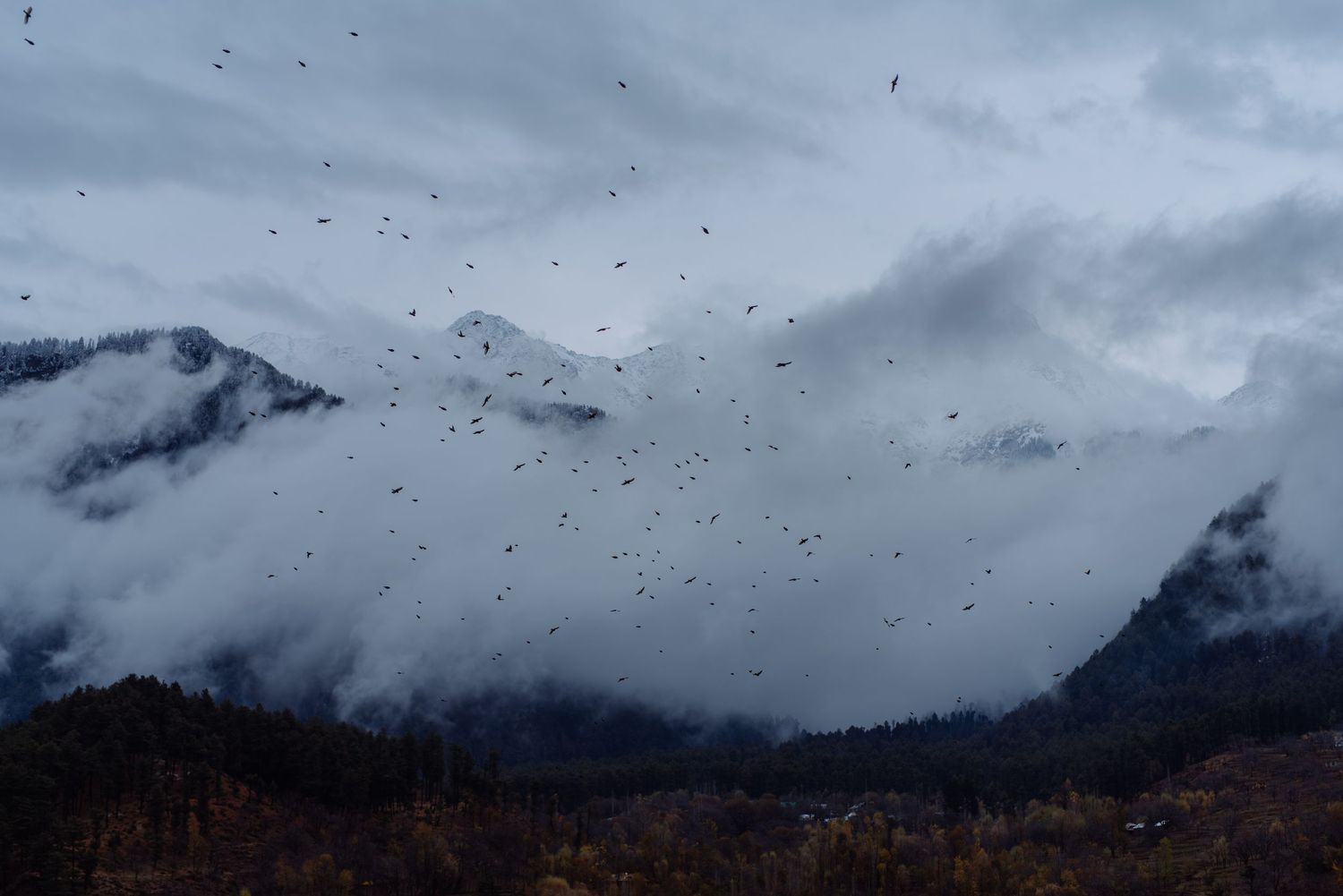 Panoramic view of snow-capped mountains under stormy gray clouds with birds flying overhead.