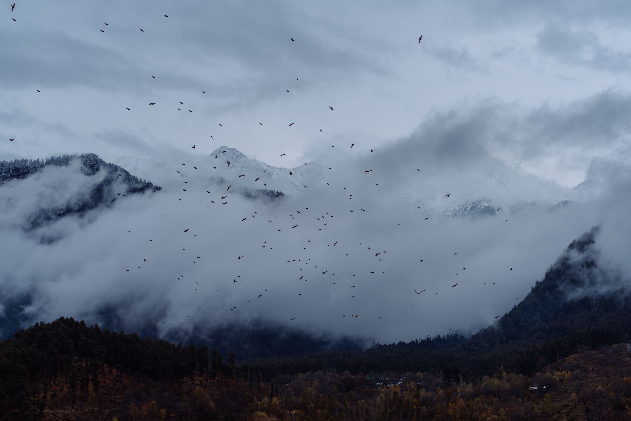 Panoramic view of snow-capped mountains under stormy gray clouds with birds flying overhead.