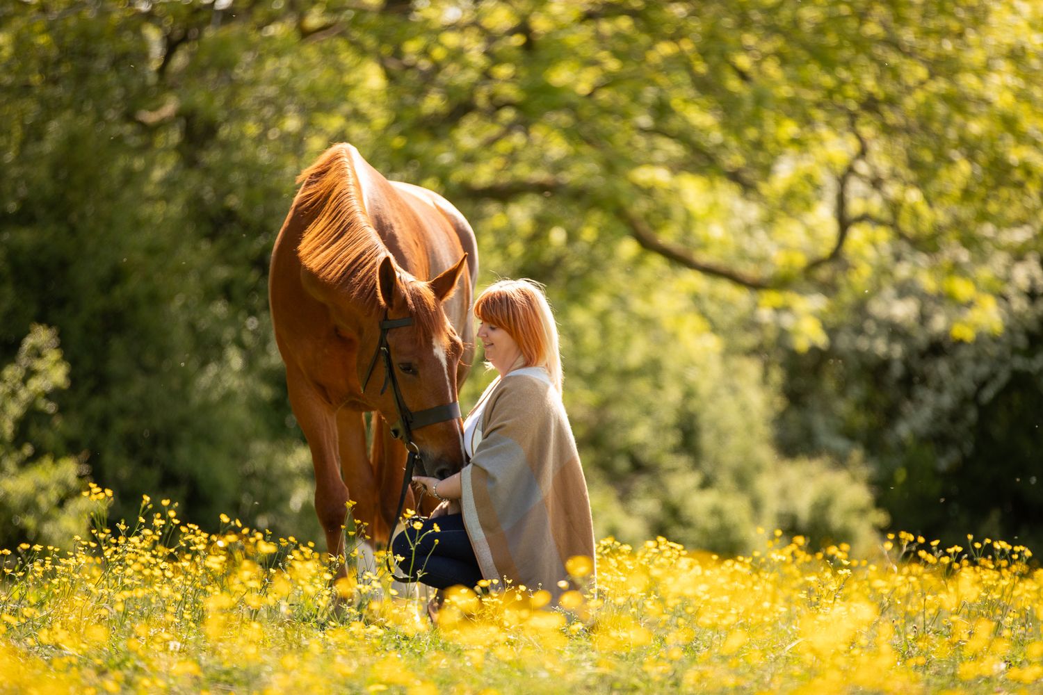 A person leads a palomino horse along a sunlit forest trail surrounded by tall evergreen trees.