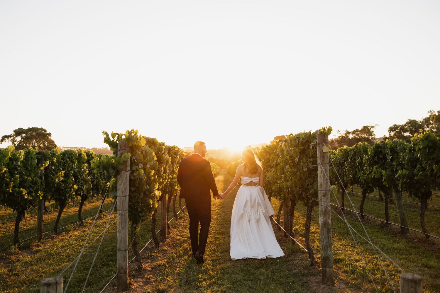 Wedding party in formal attire poses together on sunny day at vineyard with green vines in background.