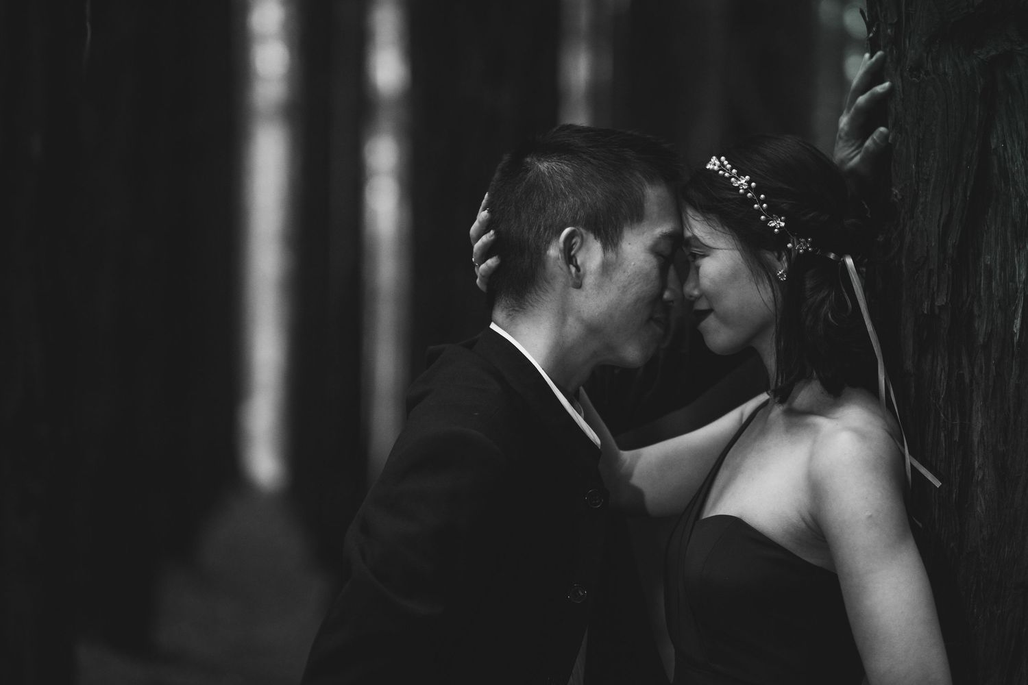 A monochrome photo of a newlywed couple in a serene redwood forest during a romantic pre wedding photoshoot in Melbourne Victoria