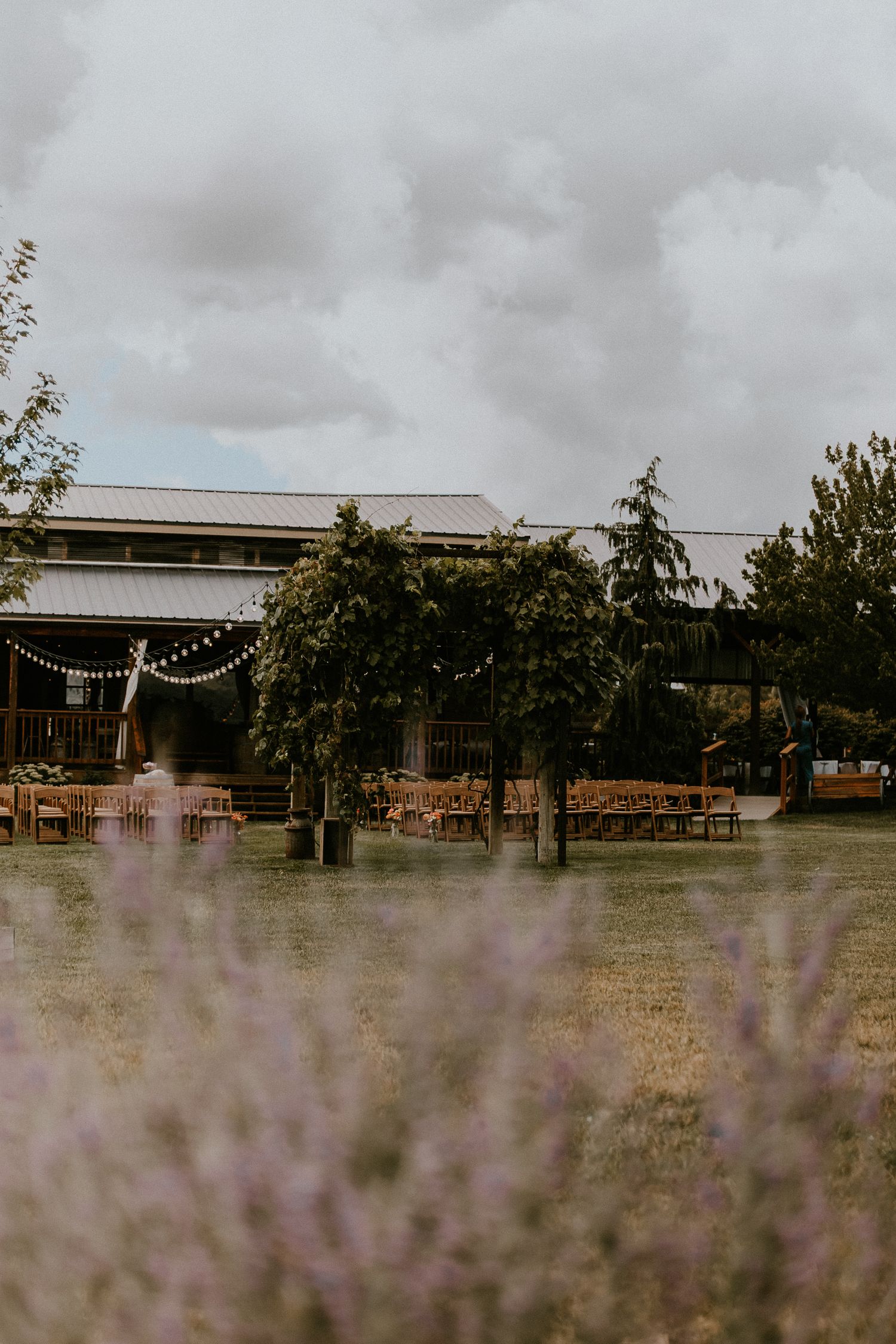 Modern commercial buildings with trees and landscaping on overcast day viewed through soft purple wildflowers in foreground.