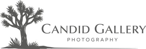 Candid Gallery Photography