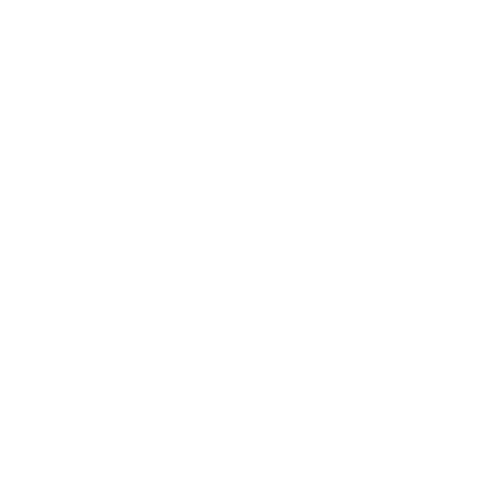 Mollie Hamilton Photography
