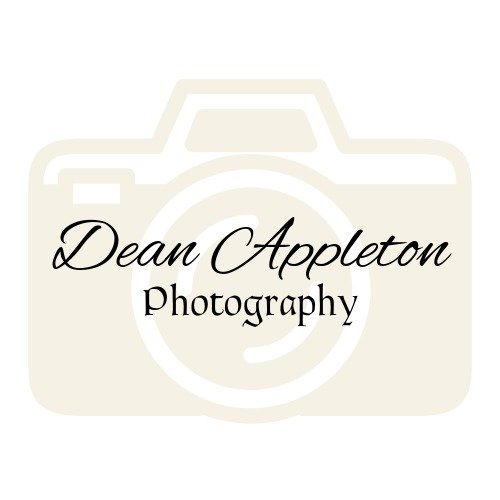 site-logo