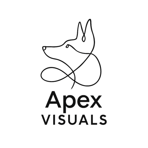 Apex Visuals Photography