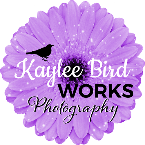 www.kayleebird.com