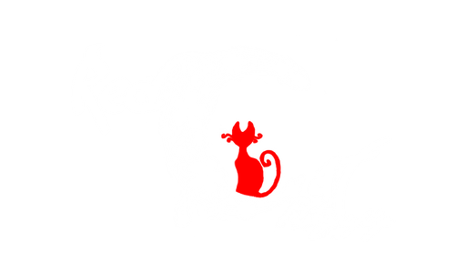 Red Cat Photography