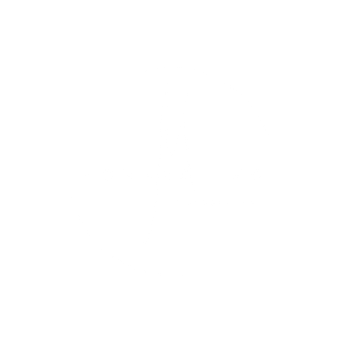 Monarchino Photography