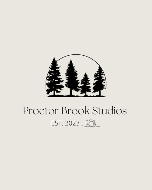 Proctor Brook Studios