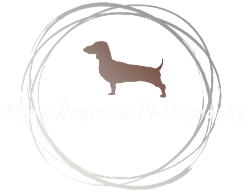 Mark Ragsdale Photography