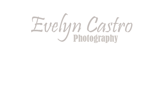Evelyn Castro Photography