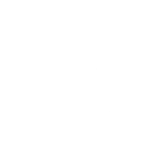 Heather Haugse Photography