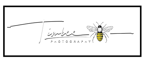 Timbee Photography
