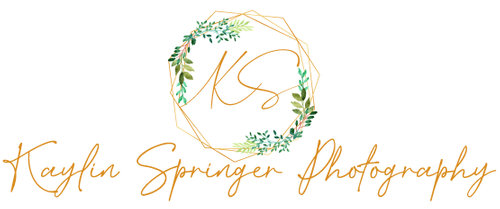 Kaylin Springer Photography