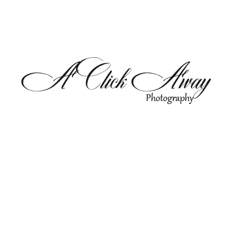 A Click Away Photography by Julie Bailey