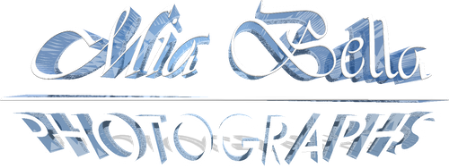 Mia Bella Photographs | Mia Romano