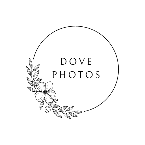 Dove Photography