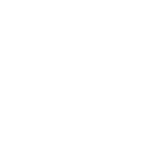 Patrascu Iulian