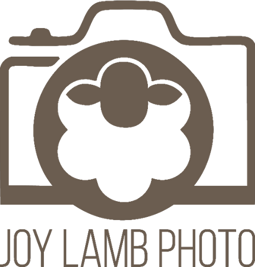 Joy Lamb Photo