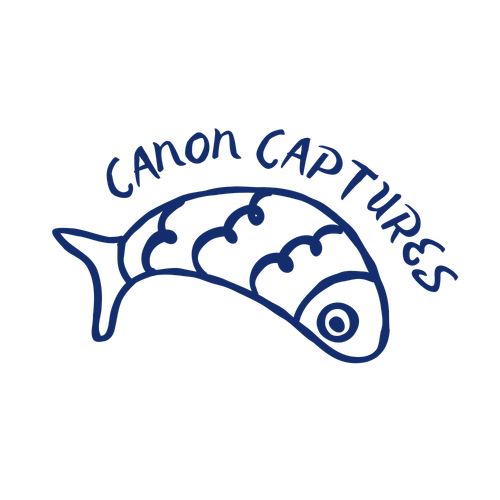 site-logo