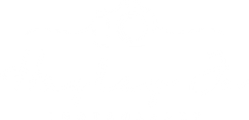 Hayley Jo Photography