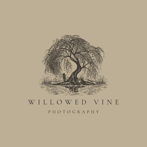 Willowed Vine Photography