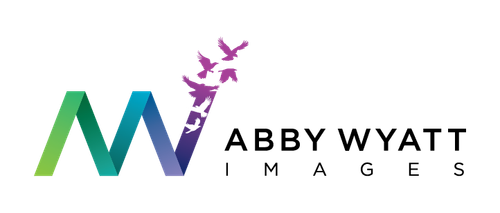 site-logo