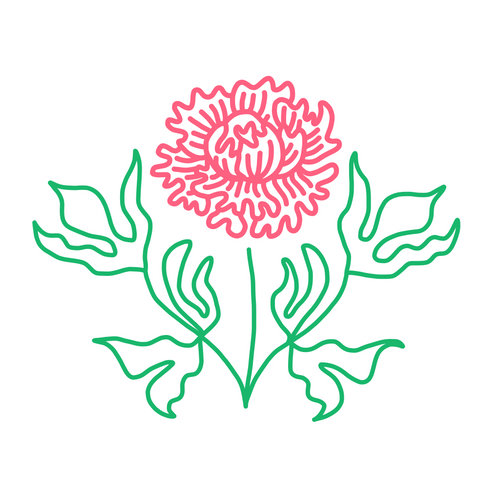 Pink Peony Portraits