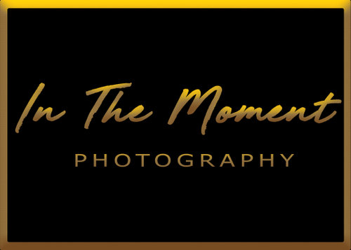 In The Moment Photography