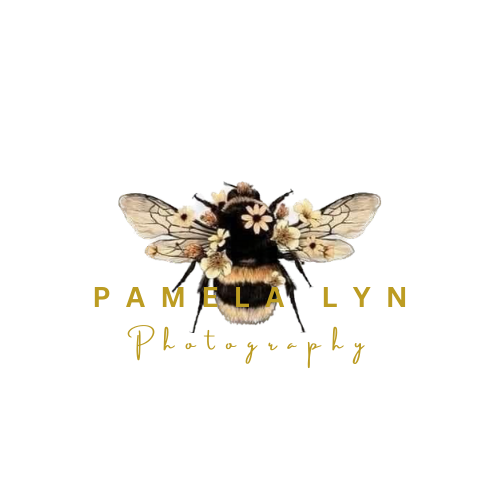 Bee Captured by Pamela